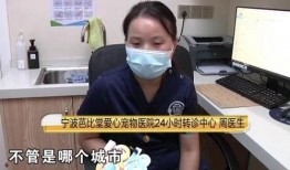 杨先生爆料电梯视频播放